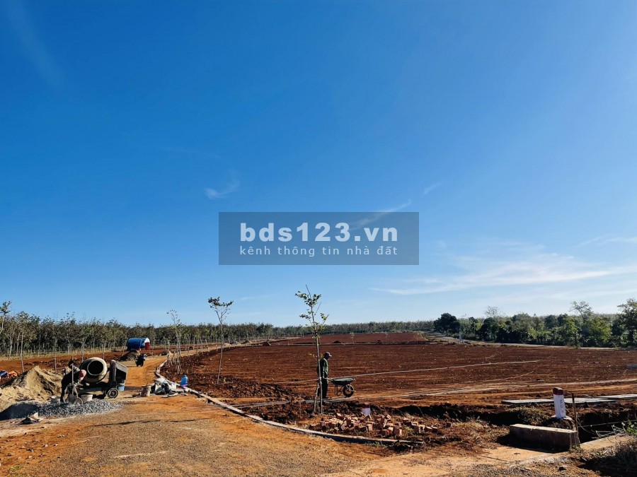 Đất nền dự án khu công nghiệp nam Pleiku giá gốc từ chủ đầu tư, chiết khấu 4 đến 6 chỉ vàng, sổ Hồng riêng – 0969.025.664