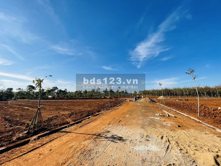 Đất nền dự án khu công nghiệp nam Pleiku giá gốc từ chủ đầu tư, chiết khấu 4 đến 6 chỉ vàng, sổ Hồng riêng – 0969.025.664