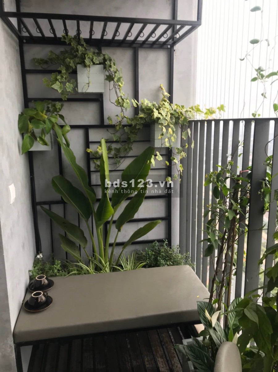 (Căn Hot) Cho thuê căn hộ D'Capitale -TDH 40m2 1 ngủ full đồ đẹp 11Tr/Tháng