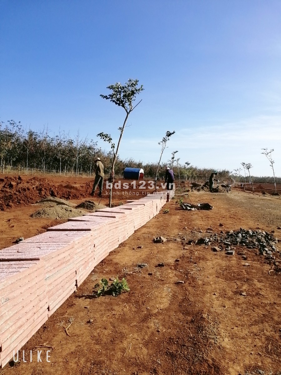 Đón đầu xu thế đầu năm với cơn sốt Bất Động Sản Công Nghiệp Nam PleiKu