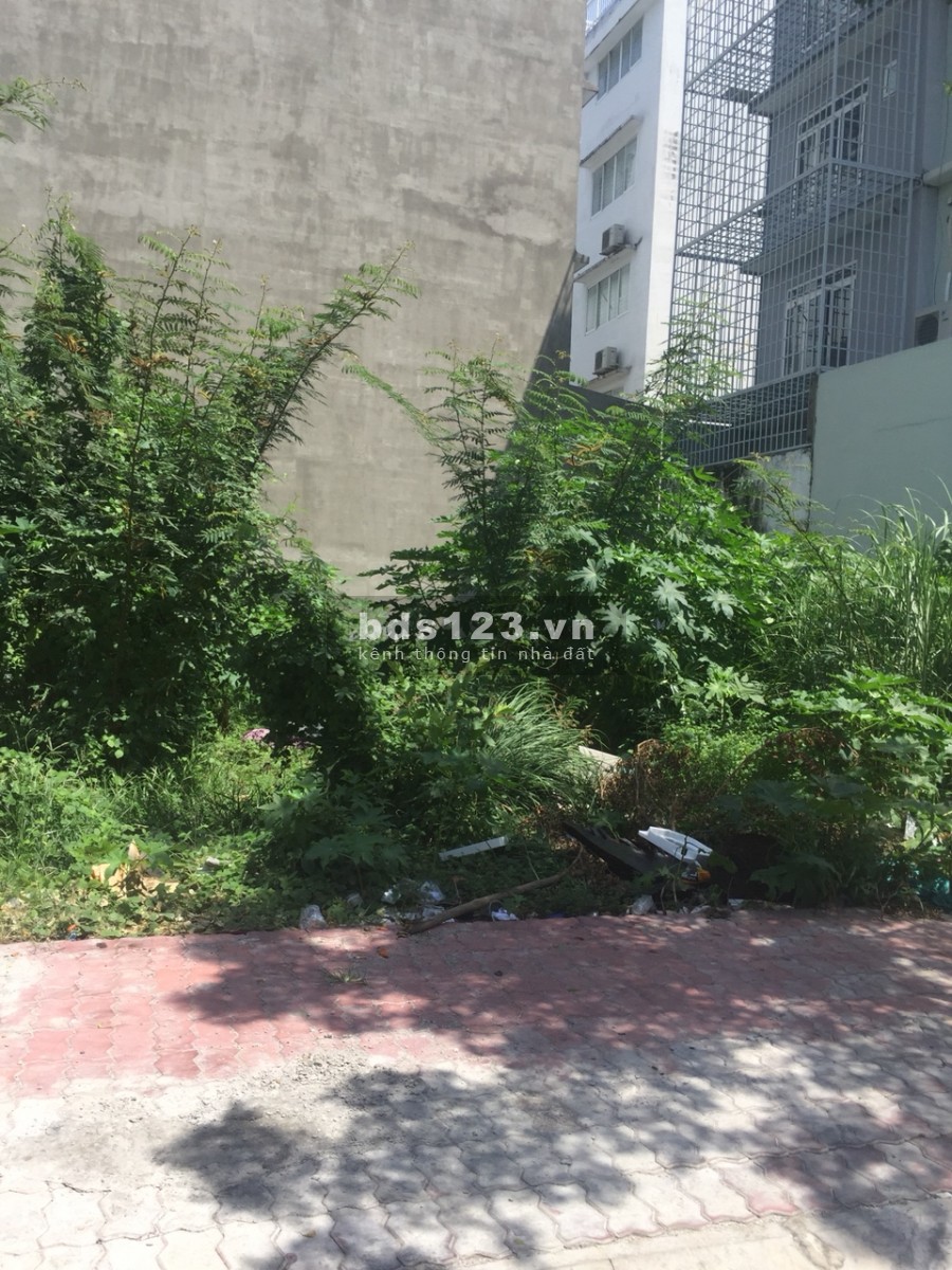 Cần bán Đất Quận 7 tiện xây căn hộ dịch vụ vị trí đẹp giá rẻ