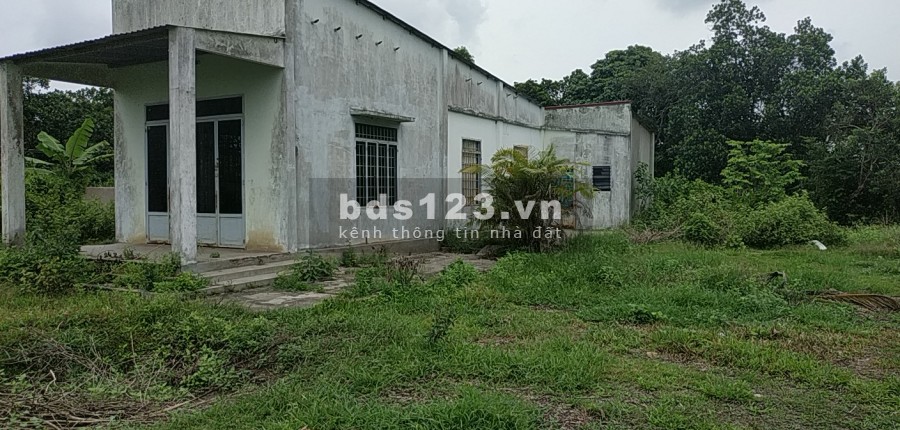 Bán gấp 998m2 đất 2 MT xã Long Phước có sẵn thổ cư, chính chủ