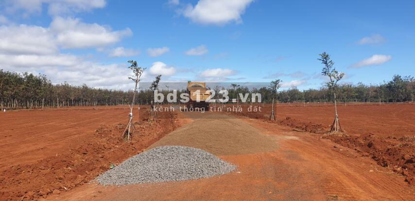 Bán giá 1,1 triệu m2 Lô đất xây phòng trọ đầu tư 20x30 diện tích 600m2 đường 12m liền kề khu công nghiệp nam Pleiku.