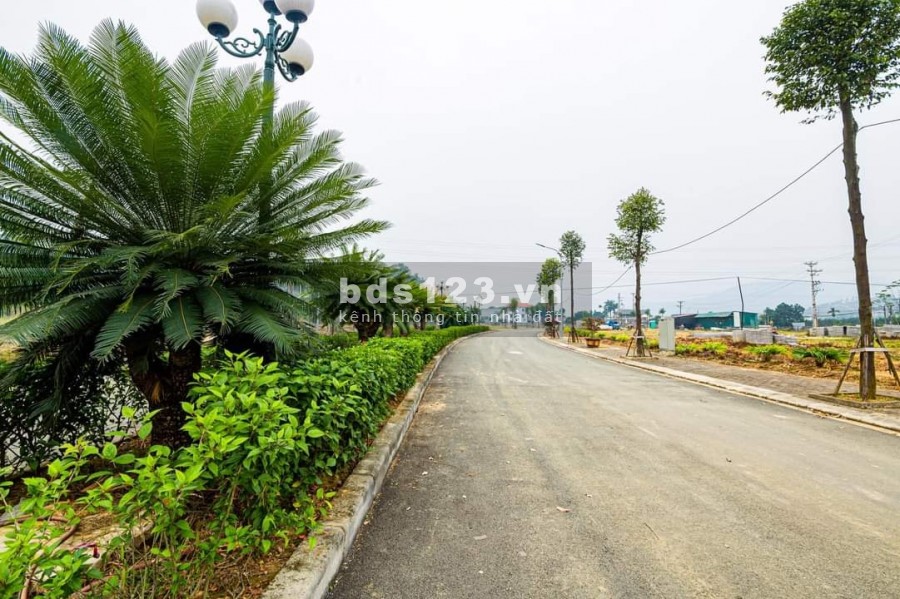 Còn duy nhất 3 suất ngoại giao đất nền gần thị trấn Xuân Mai, hạ tầng đồng bộ, pháp lý đầy đủ, diện tích từ 80m2, chỉ từ 15tr/m. 0923166768