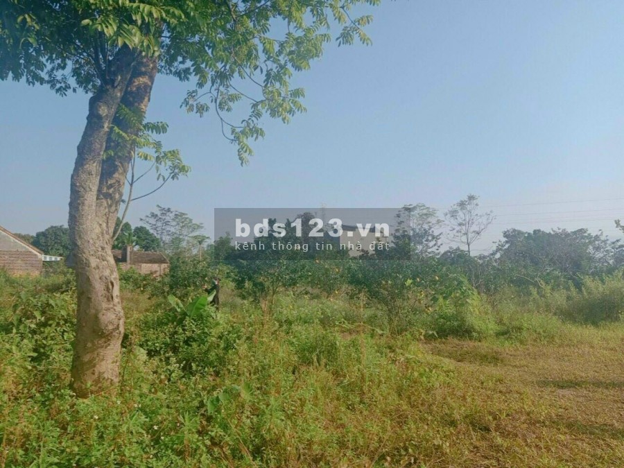CẦN BÁN GẤP LÔ ĐẤT VIEW HỒ ĐẸP LONG LANH TẠI HÒA SƠN HÒA BÌNH