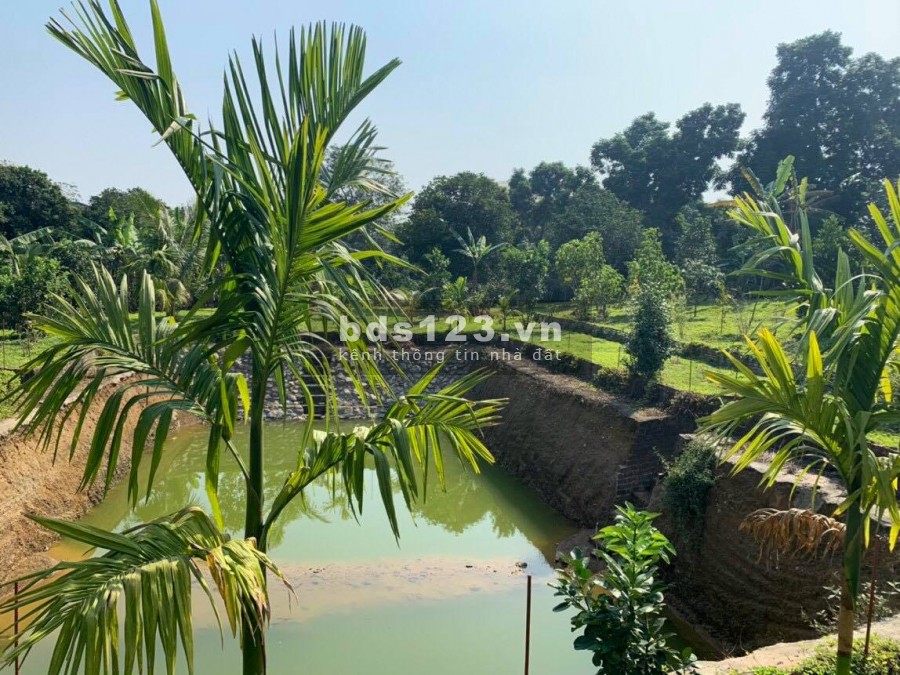 CẦN BÁN NHANH MẢNH ĐẤT ĐẸP LONG LANH TẠI TT LƯƠNG SƠN HÒA BÌNH
