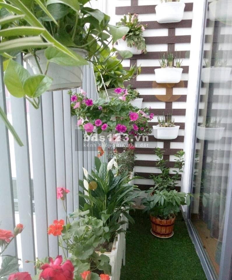 Căn MT Chợ thuộc Xuân Thới Thượng 52m2 2PN 287Tr/ SHR ở ngay công chứng liền