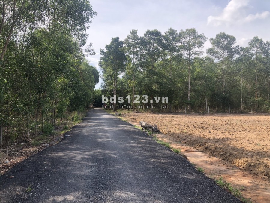 Cần bán 3000m2 đất ONT, trung tâm xã Tân Hiệp, Long Thành chỉ 3.2 triệu/m2.