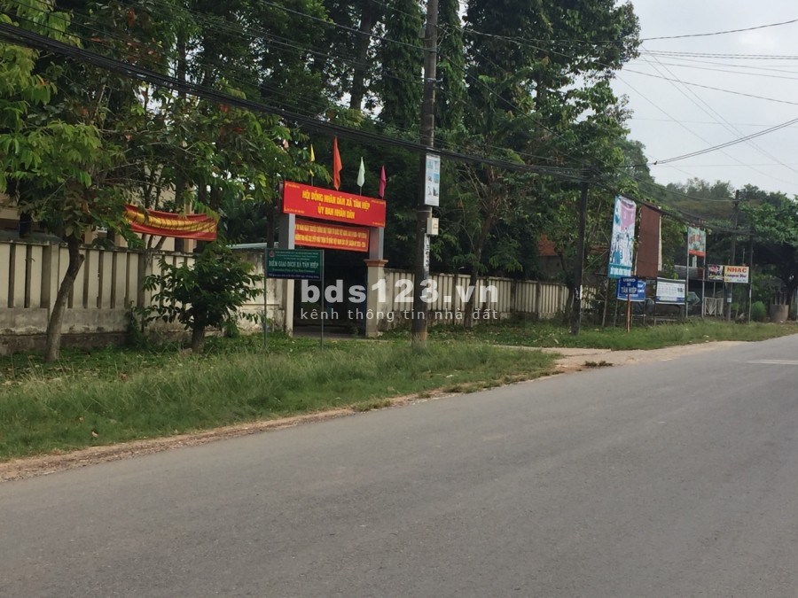 Cần bán 3000m2 đất ONT, trung tâm xã Tân Hiệp, Long Thành chỉ 3.2 triệu/m2.