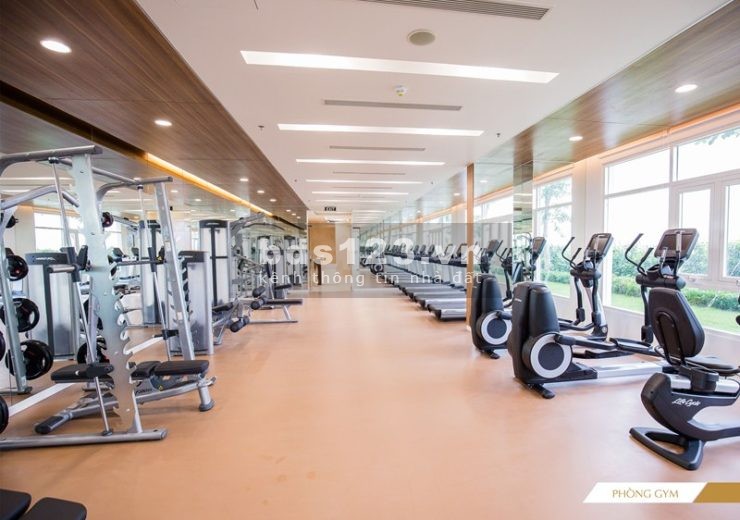 TRÙM SALA CHO THUÊ VĂN PHÒNG VIP SARIMI SALA QUẬN 2, GIÁ RẺ NHẤT sALA