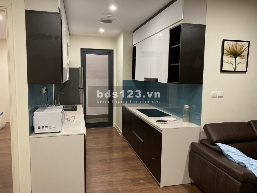 Chính chủ bán nhanh căn hộ Hapulico, DT 107.38m2, 3PN, full nội thất xịn, giao nhà trước tết.