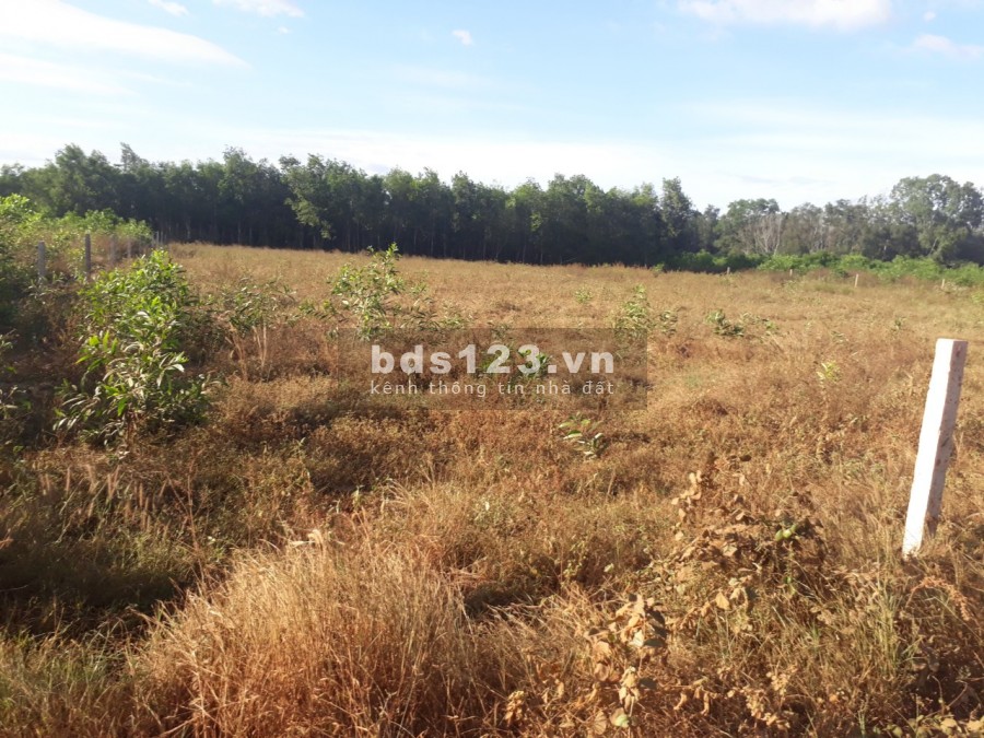 Cần ra đi mảnh đất ở Tiến Thành-TP Phan Thiết- Bình Thuận