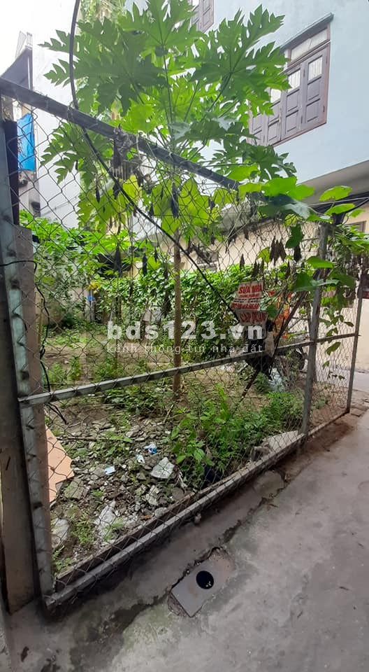 Bán Cắt Lỗ Lô Đất Xây Nhà Đầu Tư Đội Cấn Ba Đình 42m2 Mặt Tiền 4,8M Lô Góc Chỉ 2,86 Tỷ