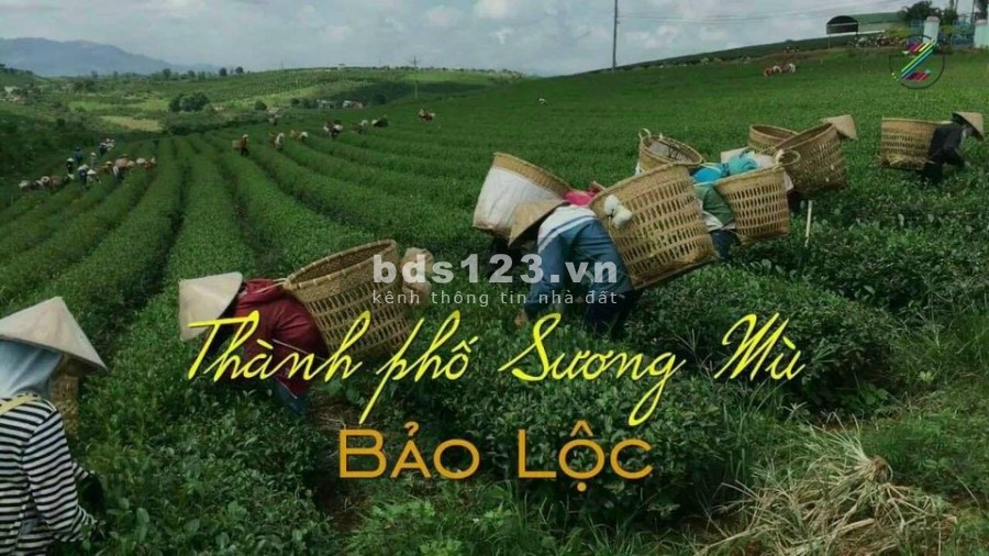 Đất mặt tiền phân lô vị trí đắc địa Tp Bảo Lộc.