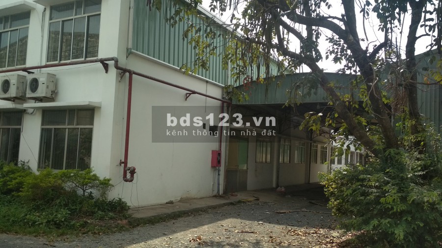 CHO THUÊ GẤP KHO XƯỞNG 3.500M2 ĐƯỜNG VĨNH LỘC, GIÁ RẺ NHẤT KHU VỰC BÌNH CHÁNH