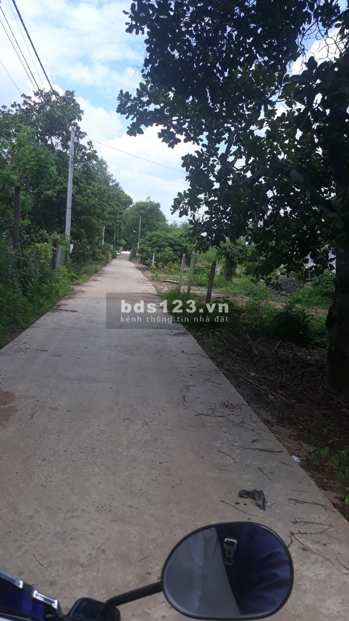 CẦN BÁN 2,5 MẪU ĐẤT VƯỜN SUỐI CÁT, TẶNG NHÀ CẤP 4.