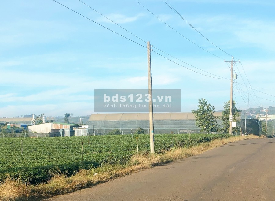Siêu phẩm đất nền đầu tư lợi nhuận thời gian ngắn View cực đẹp sổ hồng đầy đủ