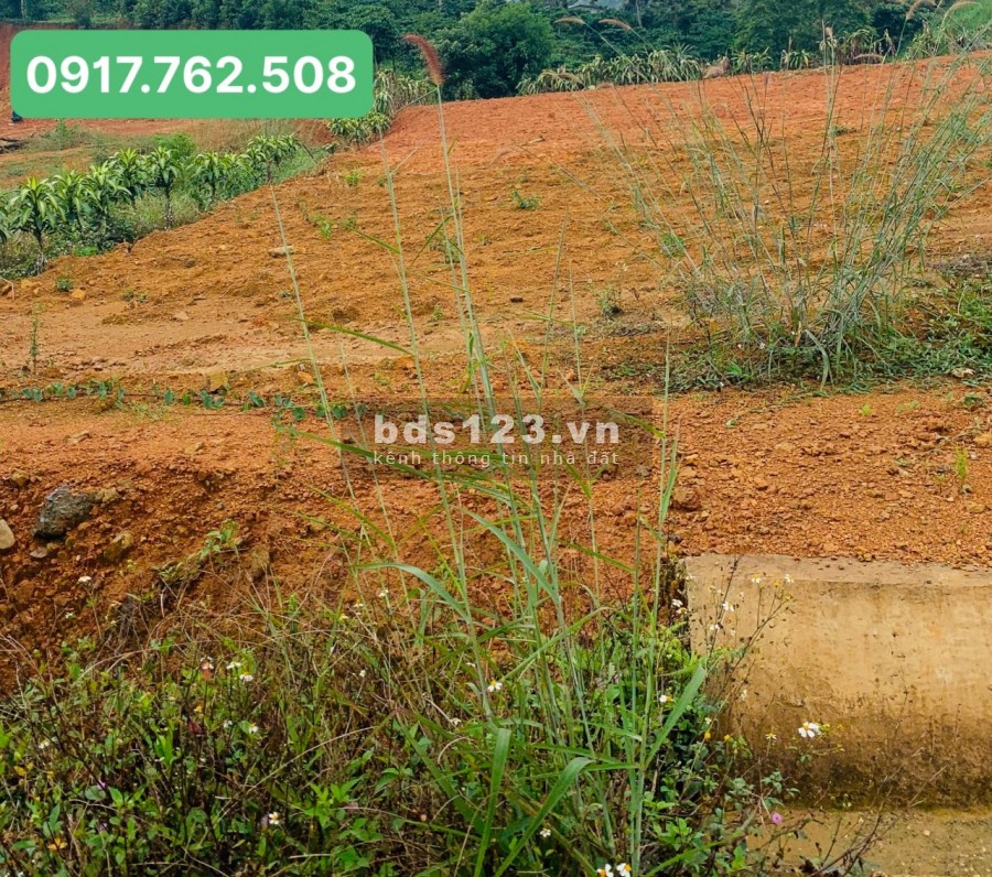 Đất Chính Chủ Full Thổ Cư 220m2 Cần Bán Gấp - 730 Triệu
