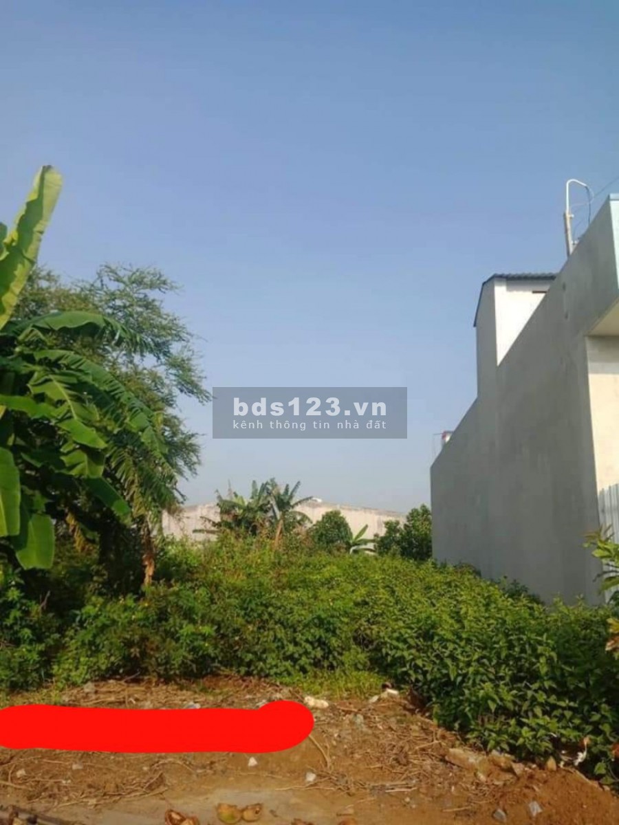 Bán đất giá rẻ, phường 4, Tân An, Long An