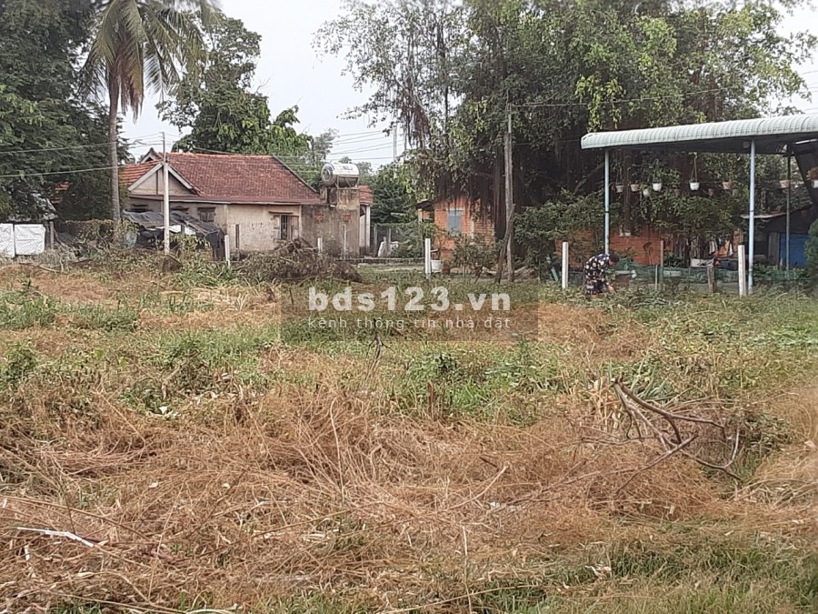 Đất ngộp cuối năm giá chỉ 255 triệu