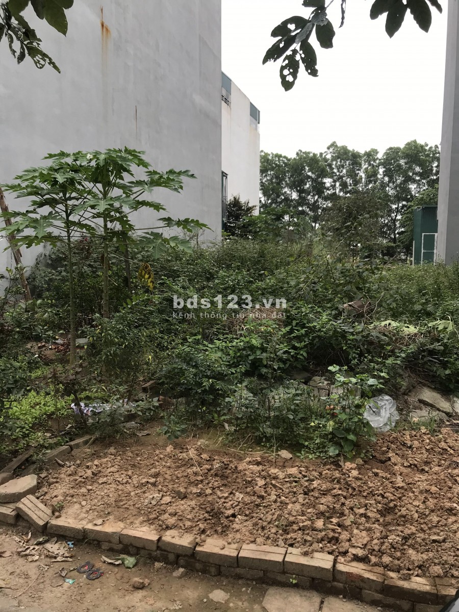 Bán đất Mỗ Lao 33m2 mặt tiền 5m giá 2580 triệu