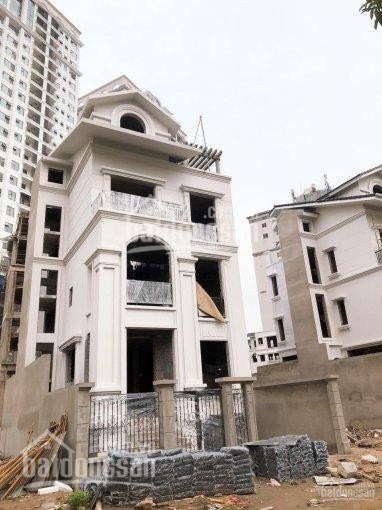 Biệt thự Tây Hồ Residence lô góc 131.3m2, MT 8,5m. Xây 3,5 tầng + 1 hầm, 25 tỷ