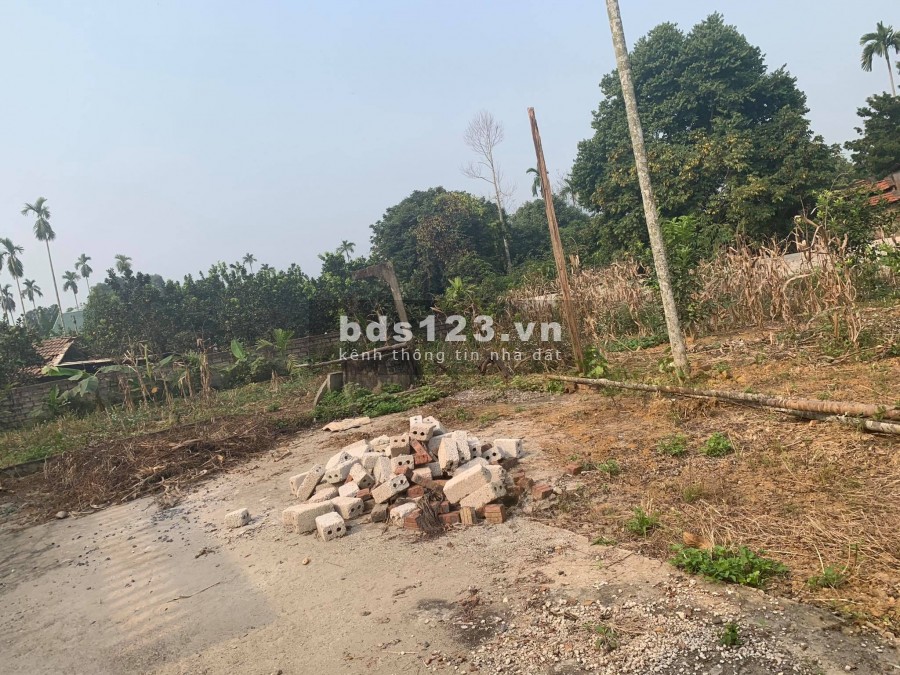 CẦN BÁN GẤP TRONG TUÂN LÔ ĐẤT 900M CÓ 400M THỔ CƯ TẠI YÊN BÀI - BA VÌ - HÀ NỘI