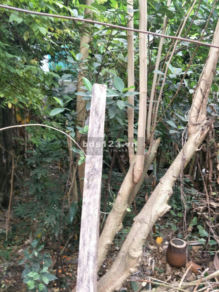 Cần bán gấp mảnh đất Ngọc Thụy 37m2 x 4.2 m mặt tiền, Ô tô vào đất, 20m ra Ô tô tránh