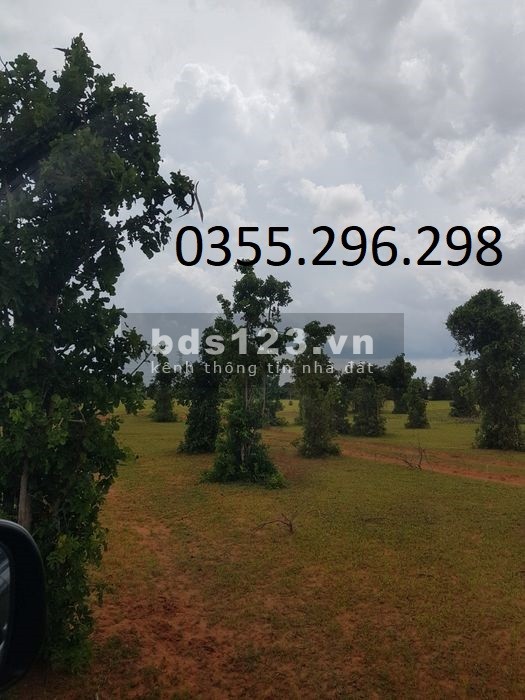 Đất vườn sẵn sổ ở Sông Lũy, giá tốt