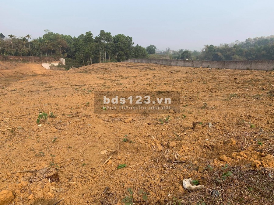 CẦN BÁN LÔ ĐẤT 7590 TẠI YÊN BÀI BA VÌ HÀ NỘI
