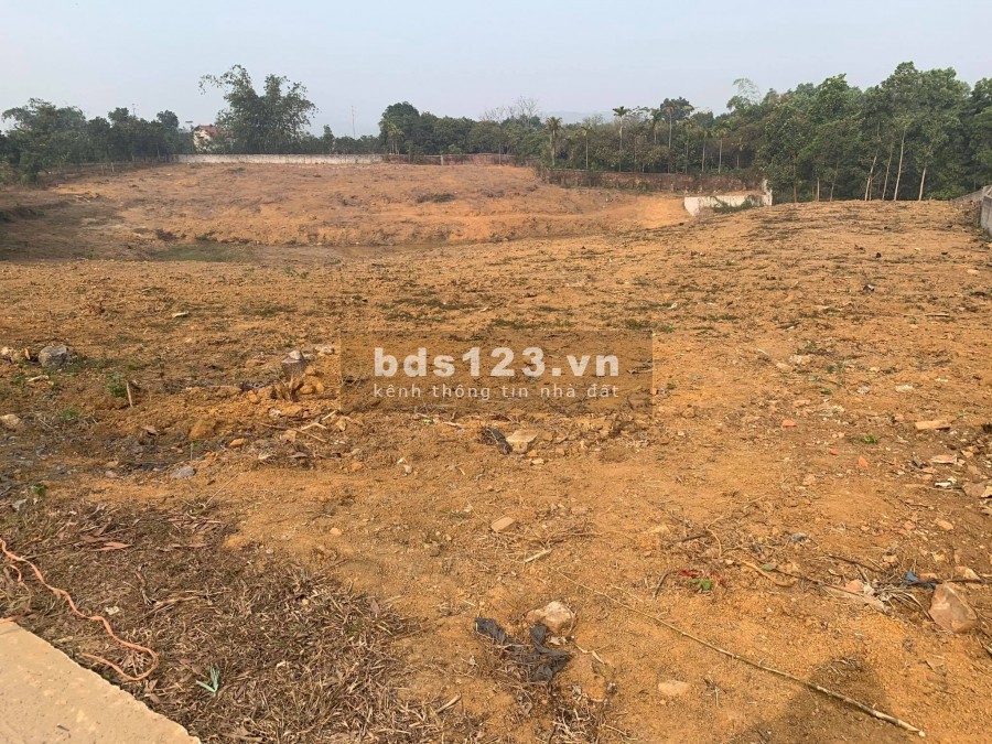 CẦN BÁN LÔ ĐẤT 7590 TẠI YÊN BÀI BA VÌ HÀ NỘI