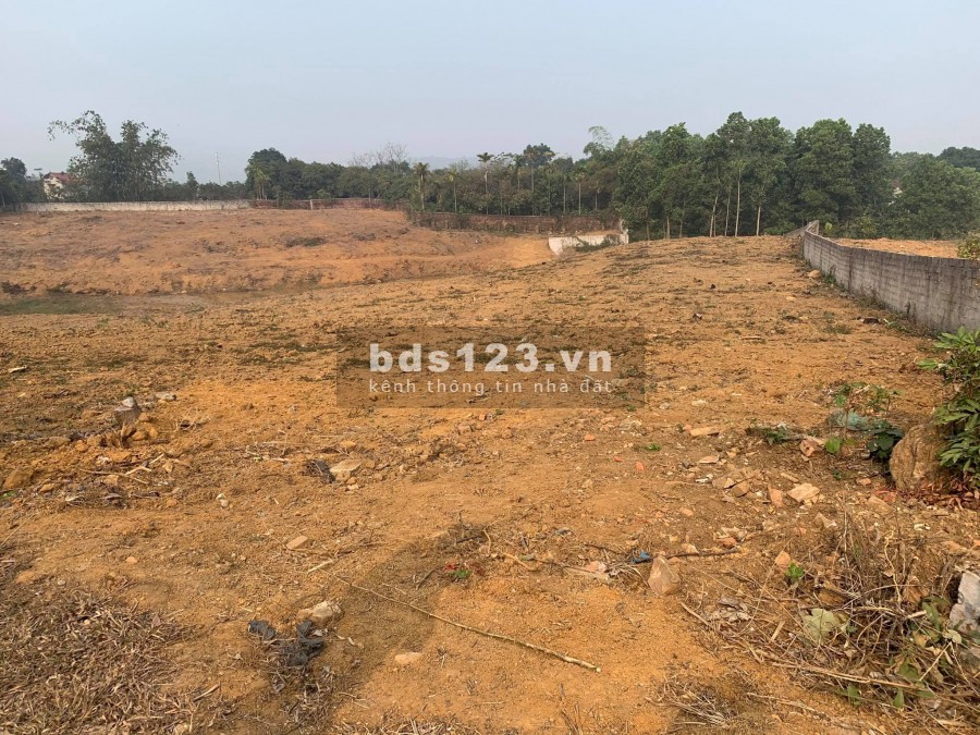 CẦN BÁN LÔ ĐẤT 7590 TẠI YÊN BÀI BA VÌ HÀ NỘI