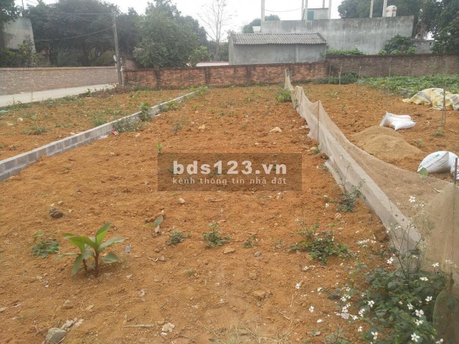 CẦN BÁN NHANH LÔ ĐẤT 135M TẠI HÒA THẠCH, QUỐC OAI, HÀ NỘI