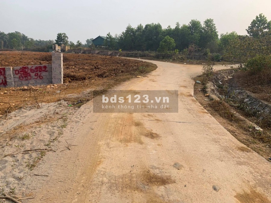 CẦN BÁN LÔ ĐẤT 7590 TẠI YÊN BÀI BA VÌ HÀ NỘI