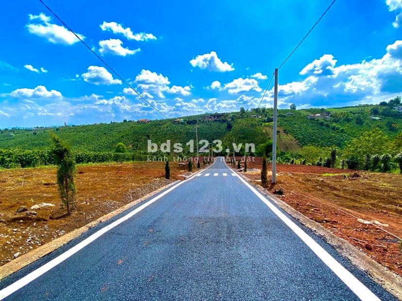 Bán Đất Nghỉ Đường 100% thổ cư Lý Thường Kiệt Tp Bảo Lộc 0379 893 779