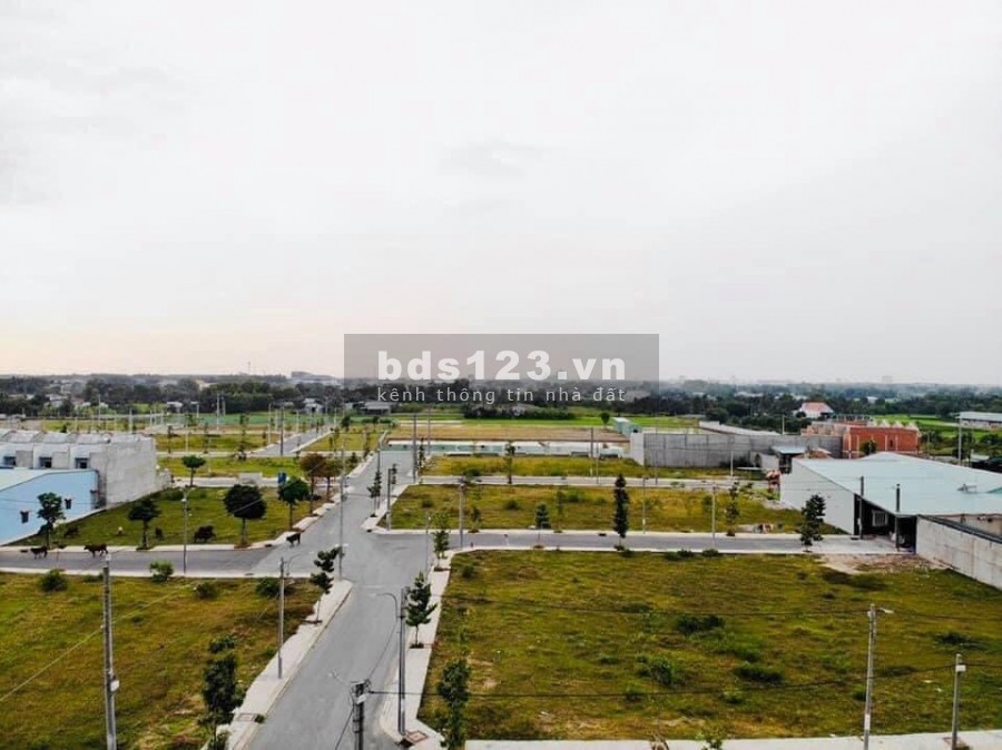 Bình Đông Central Hill giá đầu tư F1 chỉ 350 tr/nền 90m2, SHR, công chứng ngay