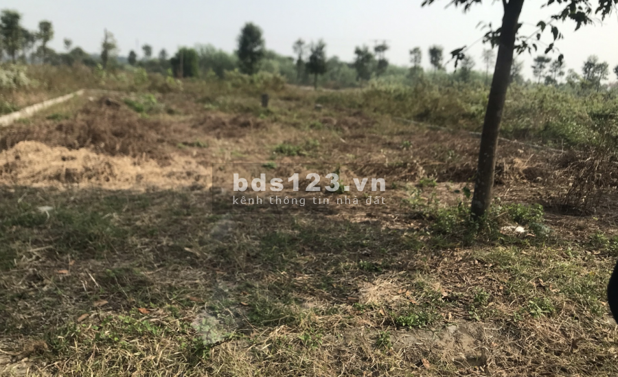 ►CHÍNH CHỦ BÁN LÔ ĐẤT TĐC ĐHQG ĐẤT VIEW HỒ GIÁ RẺ.