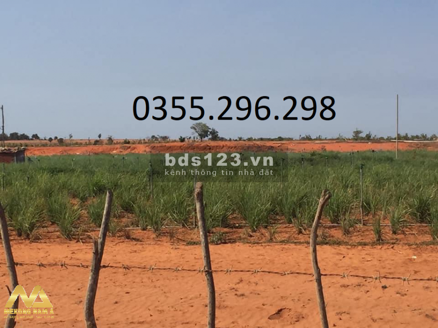 Đất vườn sẵn sổ ở Sông Lũy, giá tốt