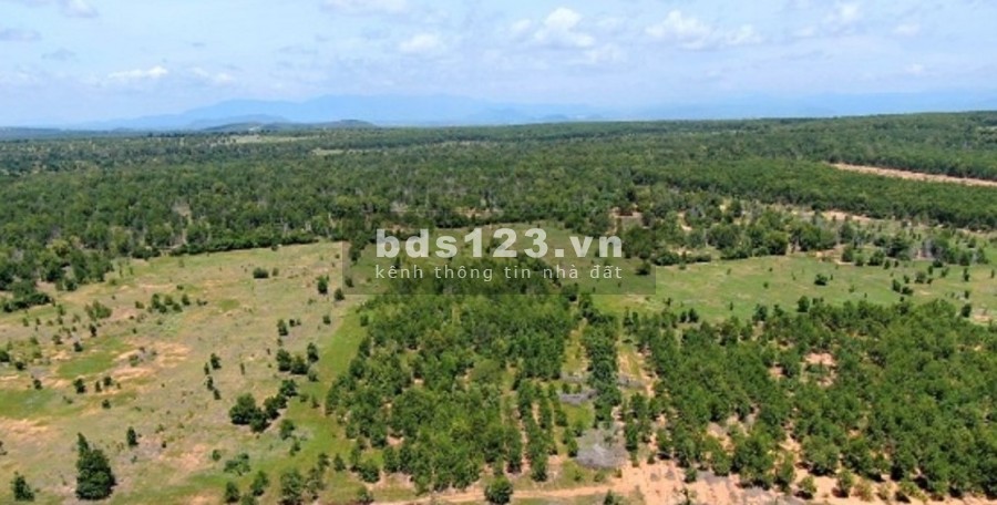 Bán lô đất nông nghiệp có đường trên sổ chỉ 385 triệu/ 4279m2, gần Quốc lộ 1A, kênh nước