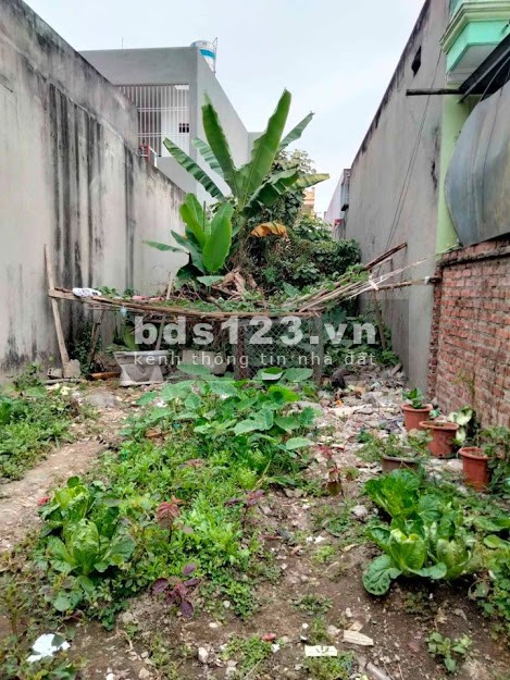 Lô đất giá đẹp đường Lưu Úc Phù Liễn Kiến An
