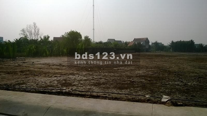 Bán 6000m2 đất Nam Hải Nam Trực Nam Định
