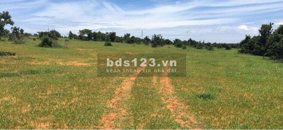 Bán lô đất nông nghiệp có đường trên sổ chỉ 385 triệu/ 4279m2, gần Quốc lộ 1A, kênh nước