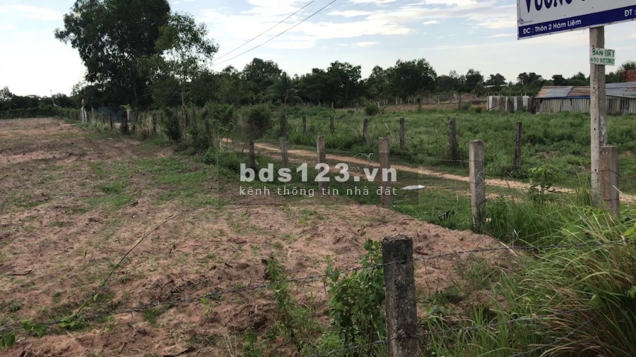Bán lô góc MT QL1A, cách CT Bắc-Nam giai đoạn 2 1km, hàng nghìn lượt xe qua lại mỗi ngày