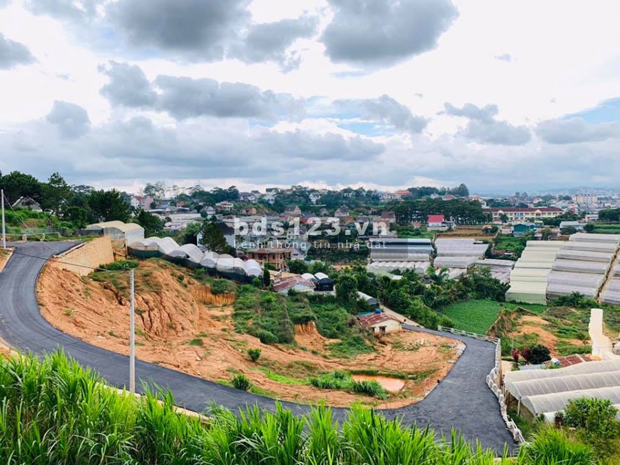 Đất đầu tư Đà Lạt 203m2 - 4ty7 chỉ chốt trước tết, view đẹp