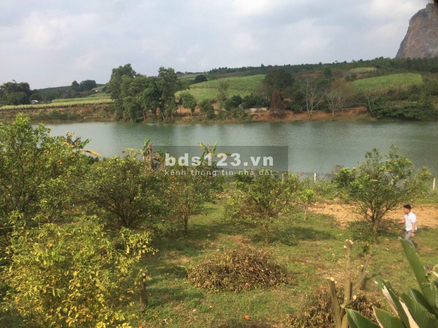 GIA CHỦ CẦN TIỀN NÊN BÁN GẤP MẢNH ĐẤT VIEW HỒ HIẾM CÓ TẠI CAO PHONG HÒA BÌNH