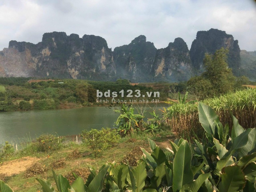GIA CHỦ CẦN TIỀN NÊN BÁN GẤP MẢNH ĐẤT VIEW HỒ HIẾM CÓ TẠI CAO PHONG HÒA BÌNH