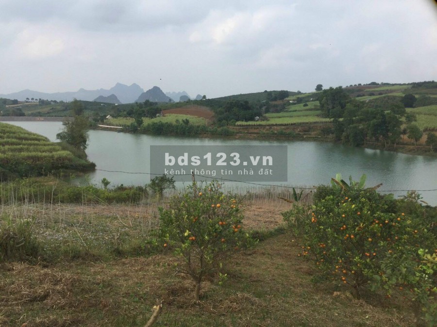 GIA CHỦ CẦN TIỀN NÊN BÁN GẤP MẢNH ĐẤT VIEW HỒ HIẾM CÓ TẠI CAO PHONG HÒA BÌNH