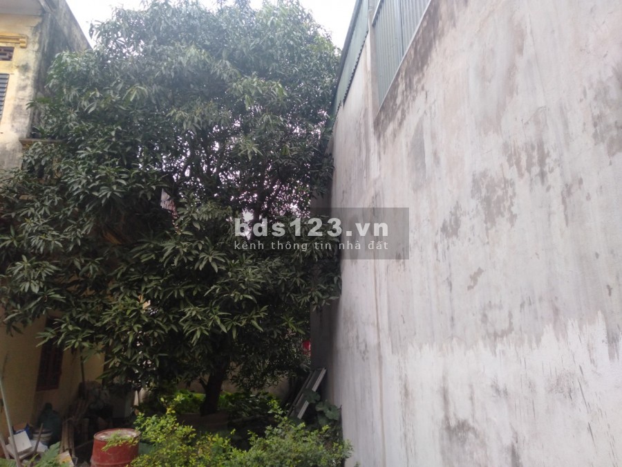 Bán đất tại Cổ Bi Gia Lâm giá cả hợp lý 26tr/m2