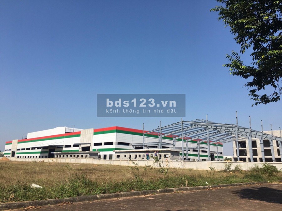 CHÍNH CHỦ BÁN GẤP LÔ NGAY CỬA NGÕ CNC LÁNG - HÒA LẠC 0395426678