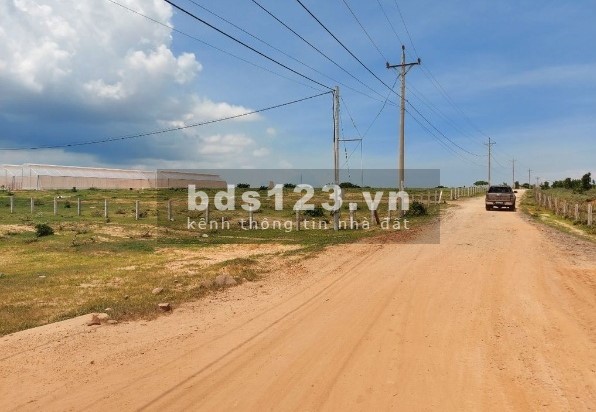 Sang nhượng 1ha đất giá rẻ, sẵn sổ